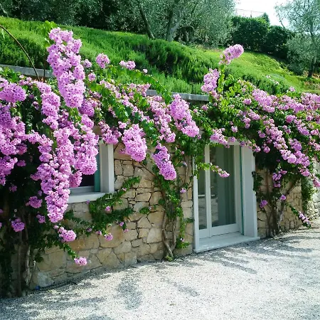 Mini Di Lusso Con Piscina Holiday home